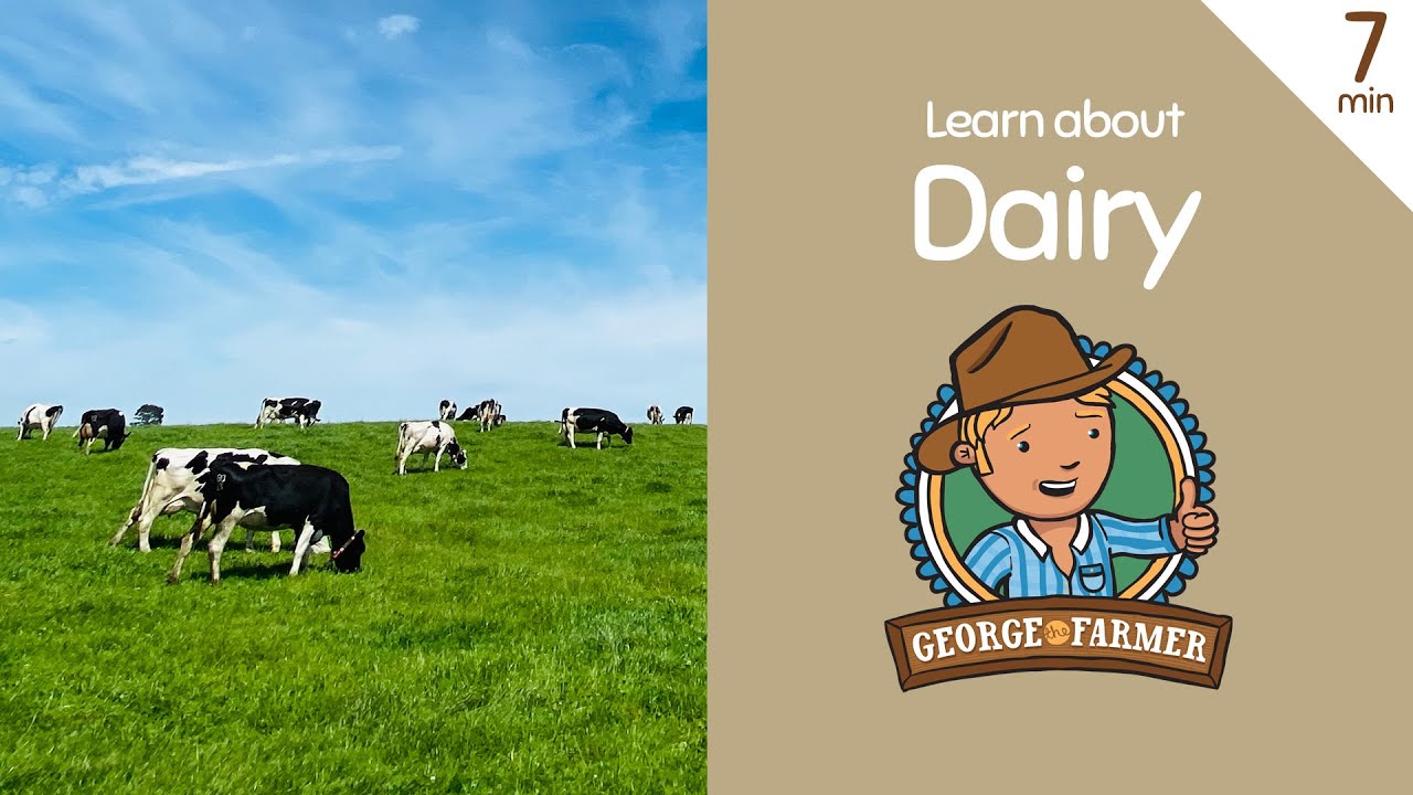 Dairy Farming